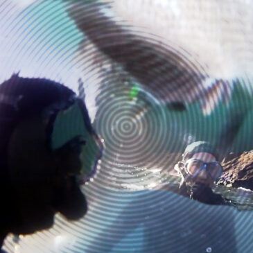 Pesca submarina en San Pedro desde dentro