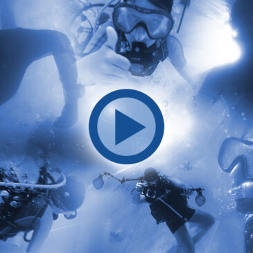 El regalo que siempre recordarán. Actividades subacuáticas de la Real Sociedad